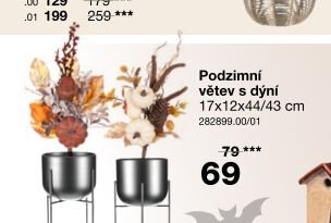 Podzimní větev s dýní