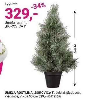 UMĚLÁ ROSTLINA, „BOROVICE I“