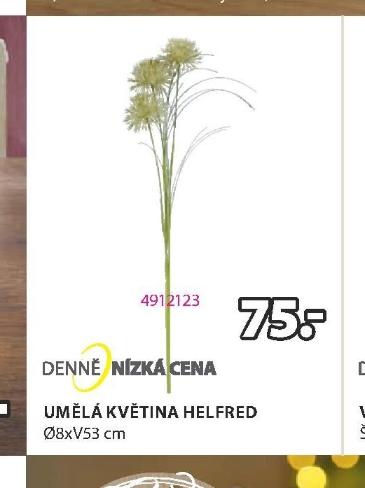UMĚLÁ KVĚTINA HELFRED