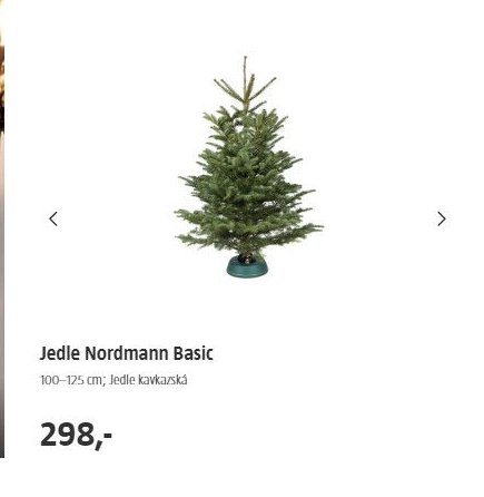 Jedle Nordmann Basic