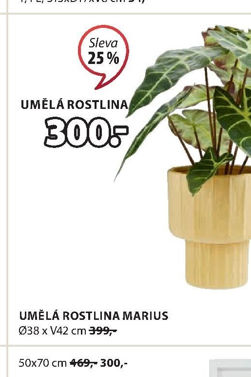 UMĚLÁ ROSTLINA MARIUS
