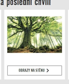 OBRAZY NA STĚNU