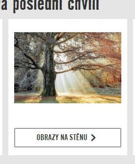 OBRAZY NA STĚNU