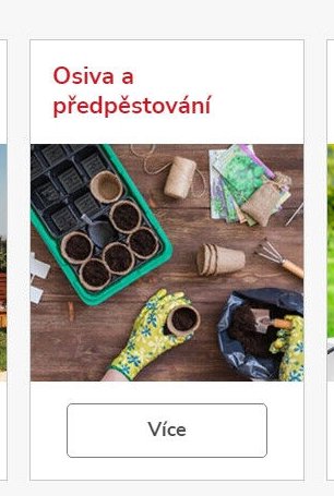 Osiva a předpěstování