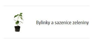 Bylinky a sazenice zeleniny
