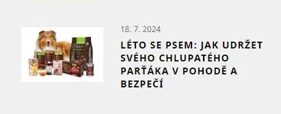 Léto se psem: jak udržet svého chlupatého parťáka v pohodě a bezpečí