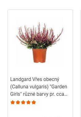 Landgard Vřes obecný (Calluna vulgaris) 