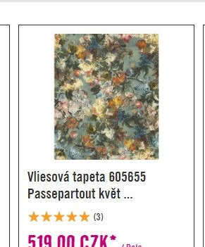 Vliesová tapeta 605655 Passepartout květ ...