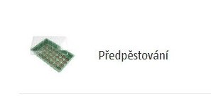 Předpěstování