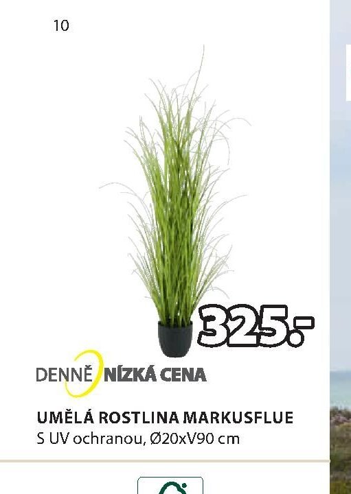 UMĚLÁ ROSTLINA MARKUSFLUE