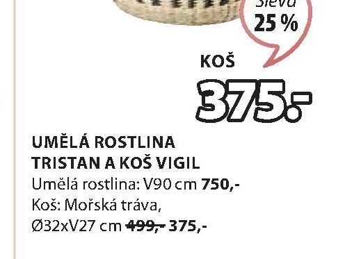UMĚLÁ ROSTLINA TRISTAN A KOŠ VIGIL
