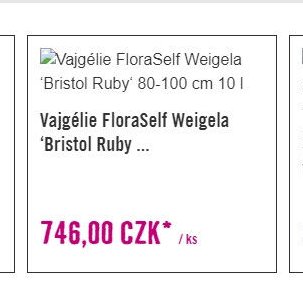 Vajgélie FloraSelf Weigela 'Bristol Ruby' 80-100 cm 10 l