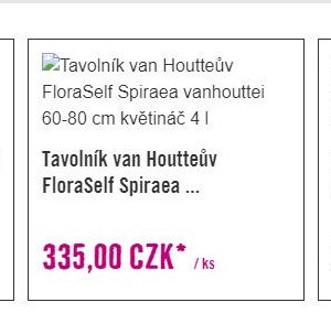Tavolník van Houtteův FloraSelf Spiraea vanhouttei 60-80 cm květináč 4 l