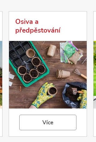 Osiva a předpěstování