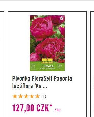 Pivoňka FloraSelf Paeonia lactiflora 'Ka