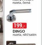 DINGO