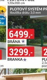 Branka