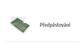 Předpěstování