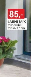 JARNÍ MIX mix druhů miska 17 cm