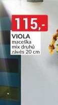 VIOLA maceška mix druhů závěs 20 cm