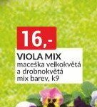 VIOLA MIX maceška velkokvětá a drobnokvětá mix barev, k9