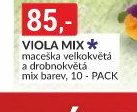 VIOLA MIX * maceška velkokvětá a drobnokvětá mix barev, 10 - PACK
