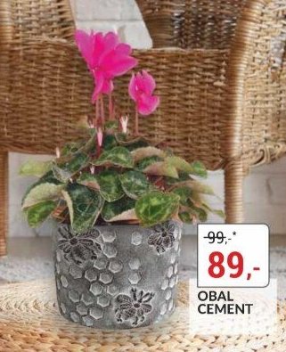 OBAL CEMENT