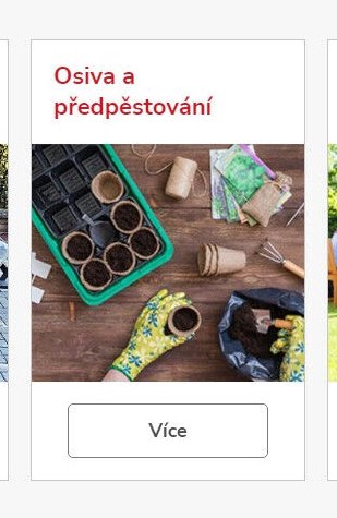 Osiva a předpěstování