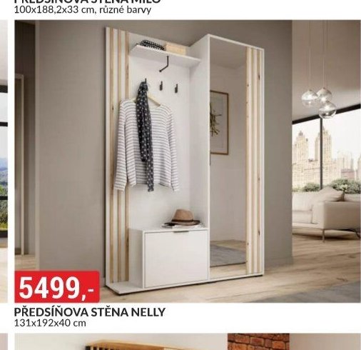 PŘEDSÍŇOVA STĚNA NELLY