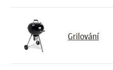 Grilování