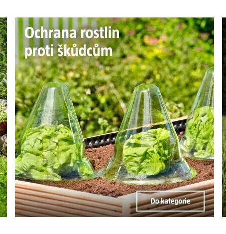 Ochrana rostlin proti škůdcům