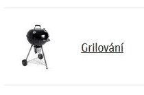 Grilování