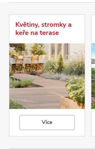 Květiny, stromky a keře na terase