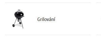 Grilování