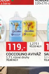 COCCOLINO AVIVÁŽ