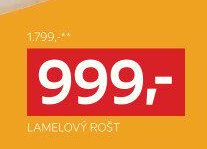 Lamelový rošt