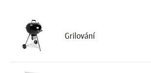 Grilování