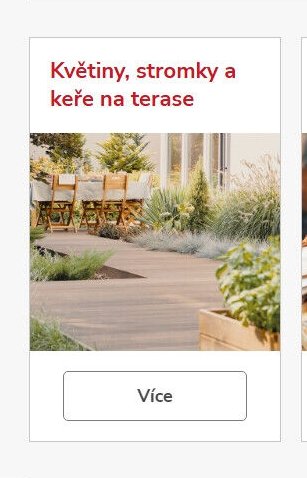 Květiny, stromky a keře na terase