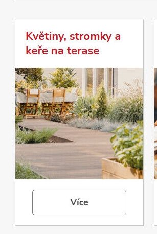Květiny, stromky a keře na terase