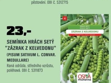 Hrách zahradníZázrak z Kelvedonu