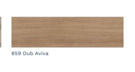 859 Dub Aviva