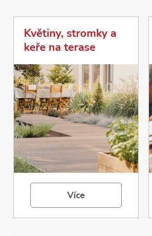 Květiny, stromky a keře na terase