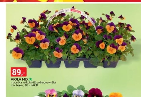 VIOLA MIX