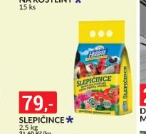SLEPIČINCE