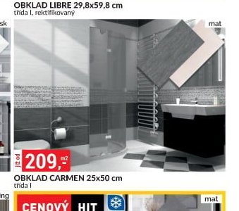 OBKLAD CARMEN 25x50 cm