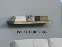 Police TERP