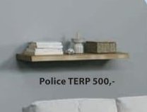 Police TERP