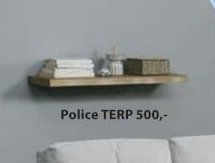 Police TERP