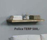Police TERP