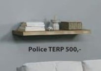 Police TERP